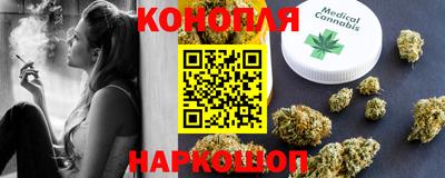 сатива Будённовск