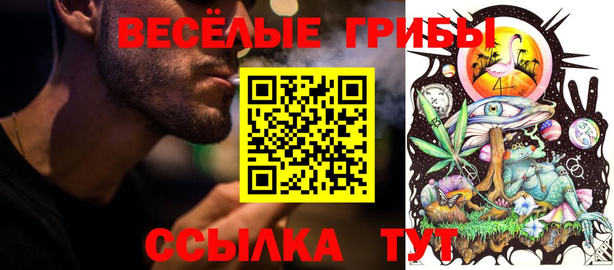 Галлюциногенные грибы Magic Shrooms  Вход с VPN  Галлюциногенные грибы Psilocybine cubensis  Кулебаки 